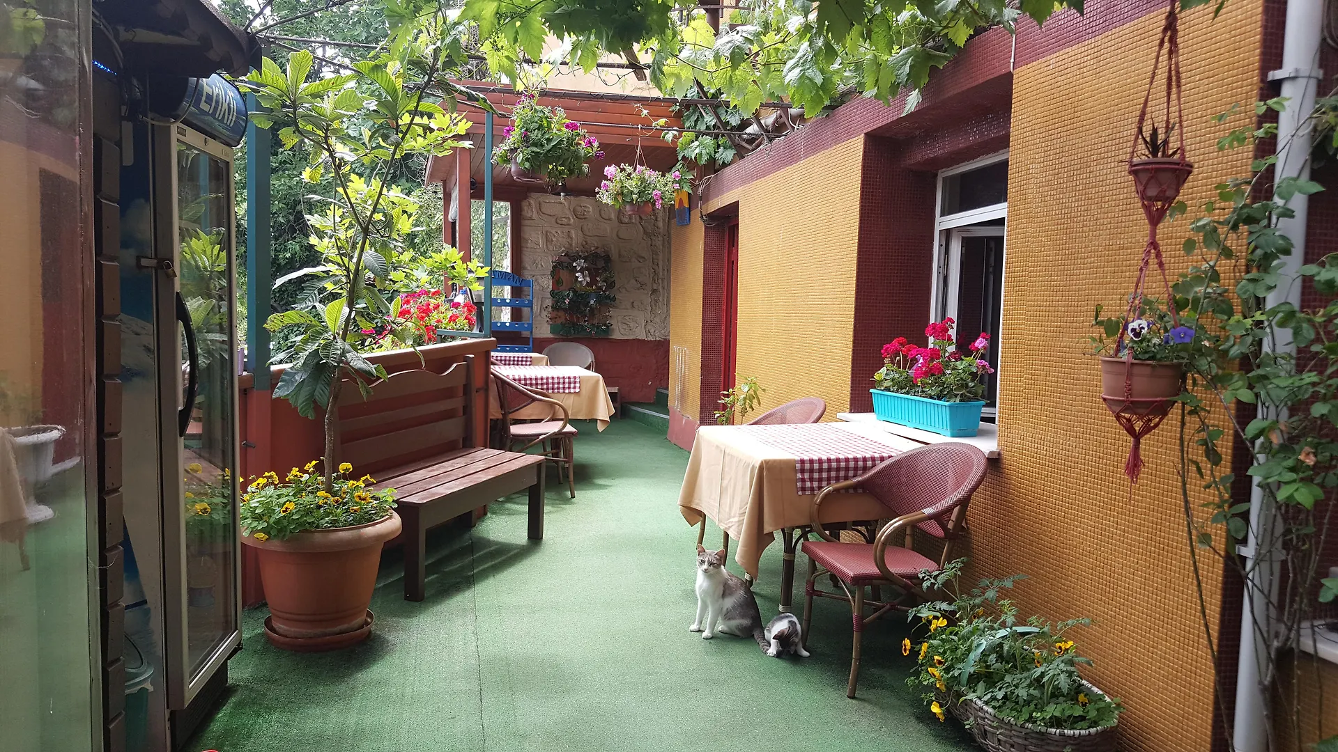 *** Bed & Breakfast Anadolu Hotel Istanbul Turkey